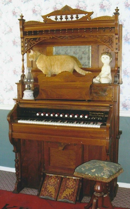 The Cable Organ